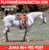 Horse ad