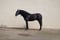 Horse ad