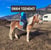 Horse ad