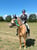 Horse ad