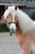 Horse ad