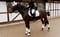 Horse ad