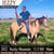 Annuncio cavallo