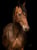 Anuncio de caballos