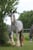 Horse ad