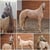 Annuncio cavallo