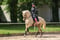 Horse ad
