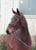 Horse ad