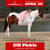 Paardadvertentie