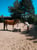 Annuncio cavallo