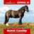 Paardadvertentie