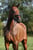 Annonce cheval