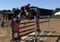 Annuncio cavallo
