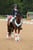 Horse ad