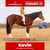 Horse ad