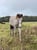 Annuncio cavallo