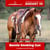 Annonce cheval