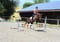 Horse ad