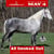 Horse ad
