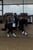 Horse ad