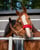Horse ad