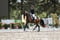 Horse ad