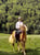 Horse ad