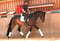 Annuncio cavallo