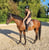 Annuncio cavallo