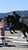 Horse ad