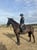 Horse ad
