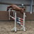 Horse ad