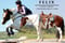Annuncio cavallo