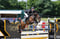 Annuncio cavallo