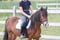 Annuncio cavallo