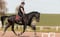 Annuncio cavallo