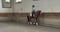 Horse ad