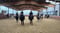 Pferdeinserat