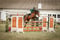 Annuncio cavallo