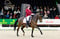 Horse ad
