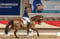 Horse ad