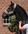 Horse ad