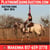 Horse ad