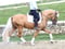 Horse ad