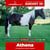 Anuncio de caballos