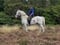 Horse ad