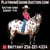 Horse ad