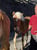 Annuncio cavallo