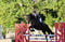 Annuncio cavallo
