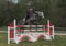 Annuncio cavallo